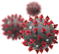 Coronavirus Covid-19